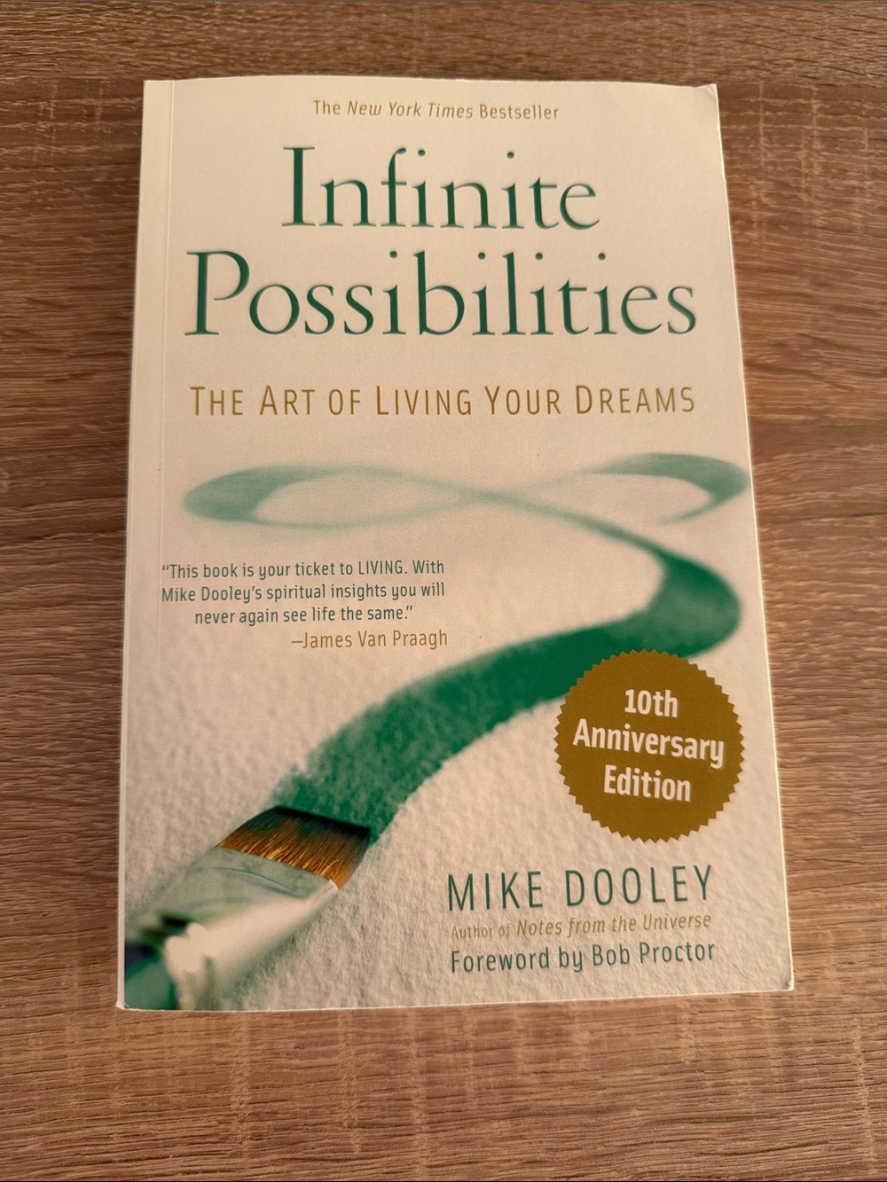 Infinite Possibilities The Art of Living Your Dreams by Mike Dooley